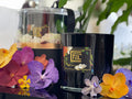 Bougie Parfumée 1628 ml · Édition Bordeaux