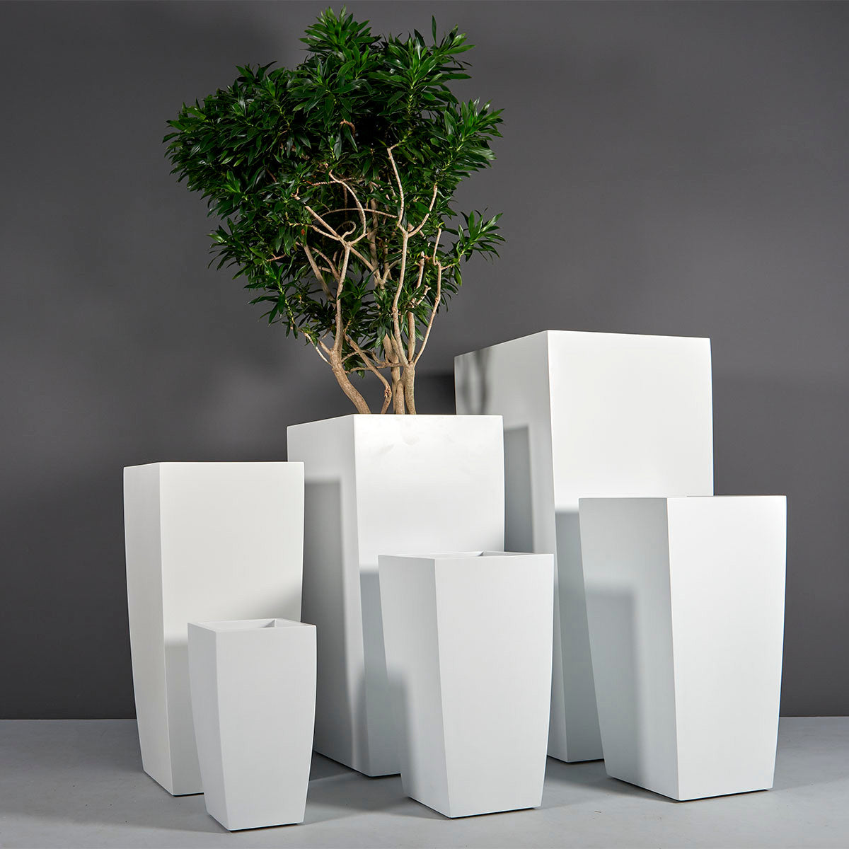 Cache-pot Décoratif | Signature Camargue
